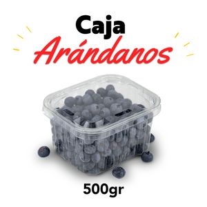 Caja de arándanos frescos 500 gr.