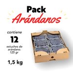 Pack_Arandano_1.5kg