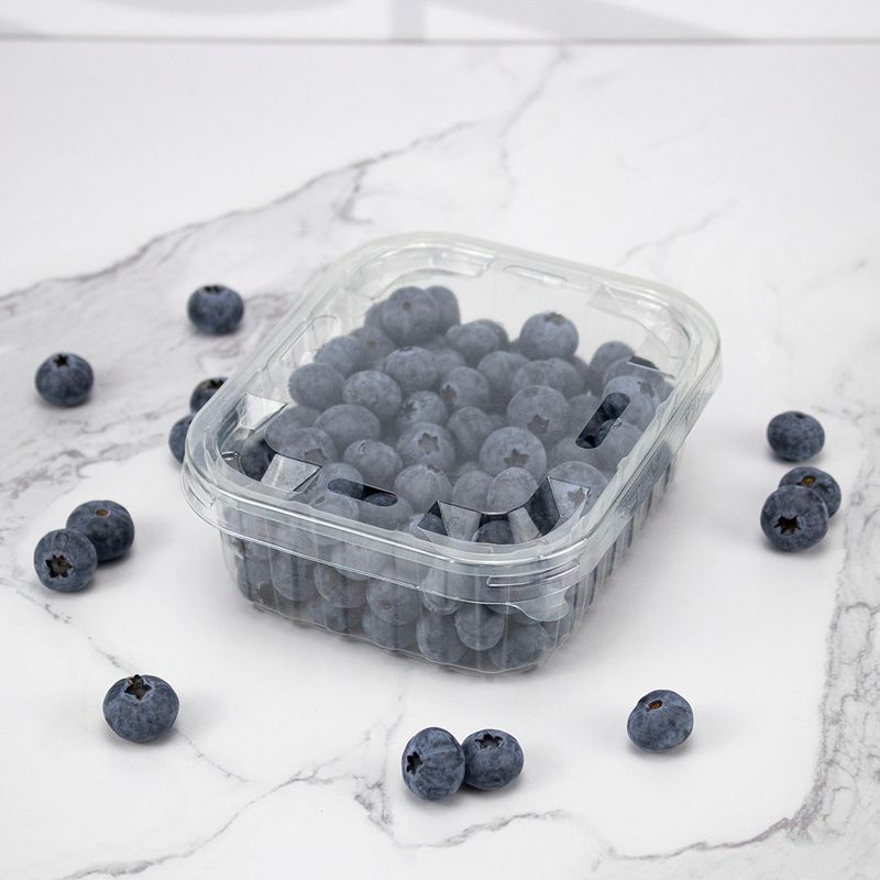 Pack_Arandano_1.5kg