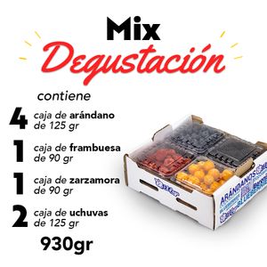 Pack mix degustación de Berries y Uchuvas frescas 930 gr.
